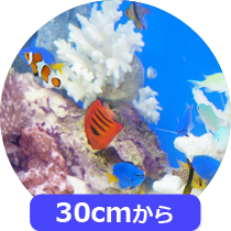 福岡アクアガーデン 海水魚水槽の料金