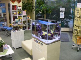 旅行代理店様 南の島に行ってみたくなる水槽 福岡アクアガーデン