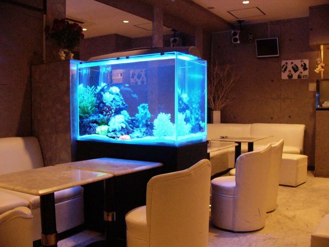 飲食店様 幻想的でオシャレな水槽です 福岡アクアガーデン