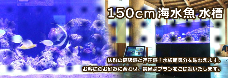 150cm以上の大型海水魚水槽をレンタルできる福岡アクアガーデン